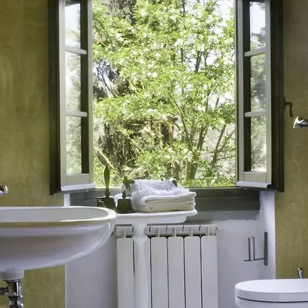 Il Colto Terranuova Bracciolini